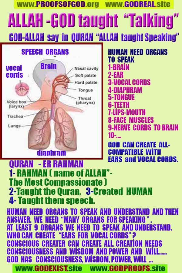 proofs of god, evidences of god, signs of god, god-proofs, proofs-god