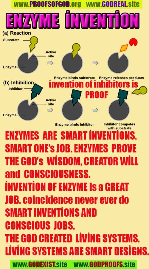 proofs of god, evidences of god, signs of god, god-proofs, proofs-god