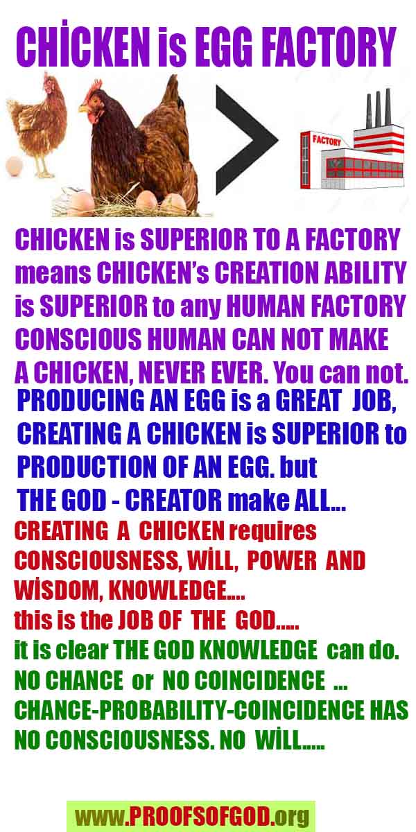 proofs of god, evidences of god, signs of god, god-proofs, proofs-god